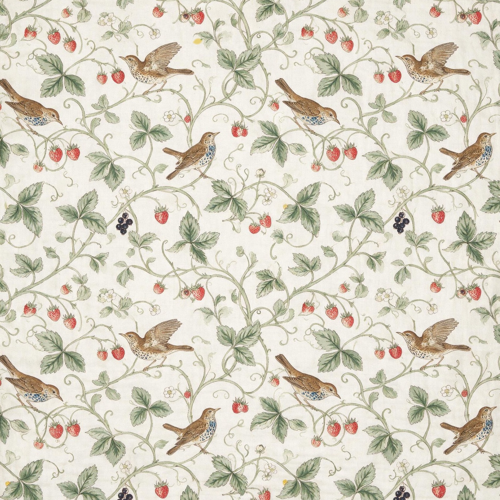 No. 1 &middot; The thrush arrives