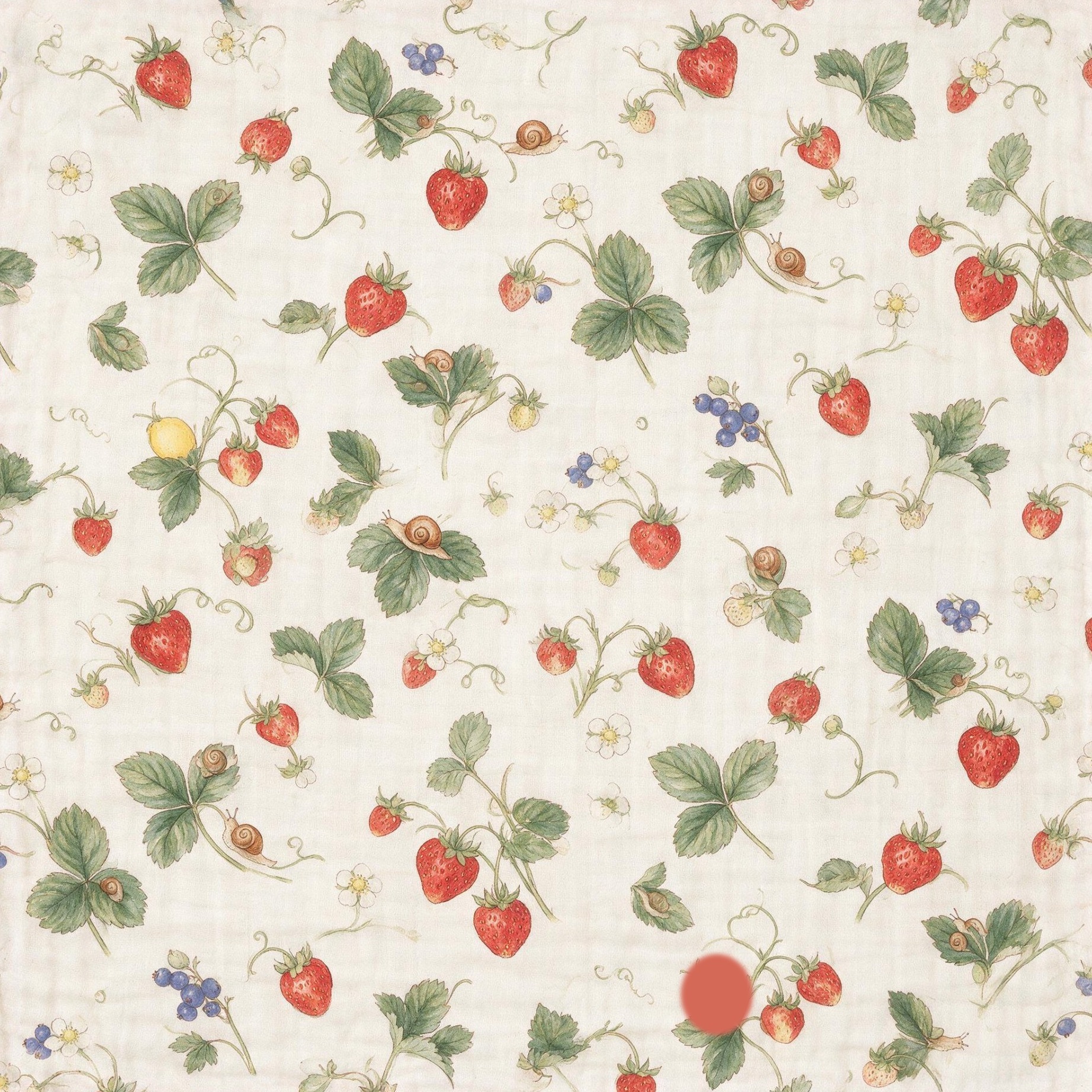 No. 2 &middot; The strawberries grow